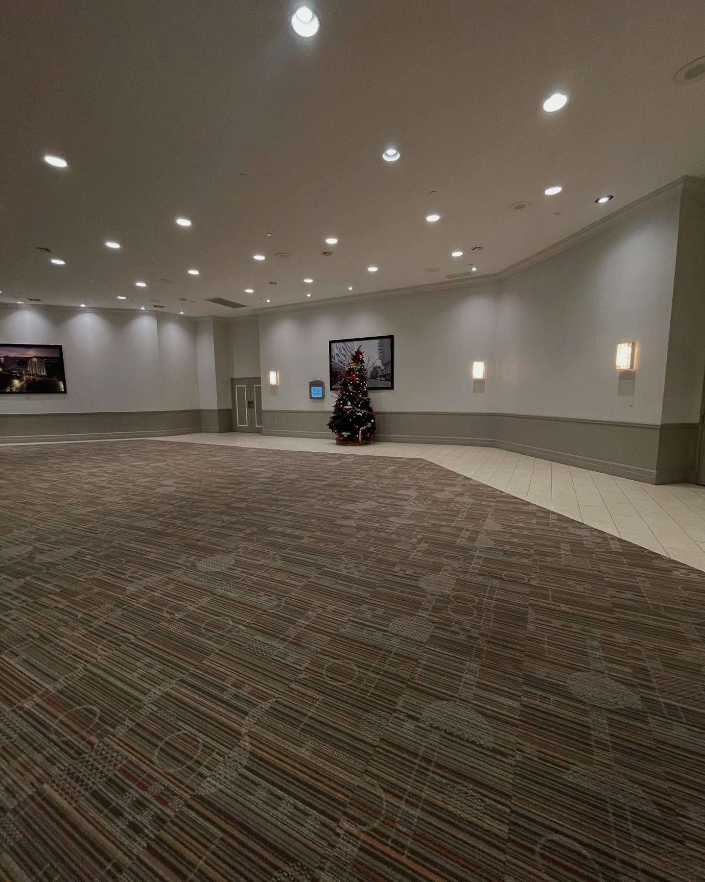 Deeply sad in Vegas :(🪴