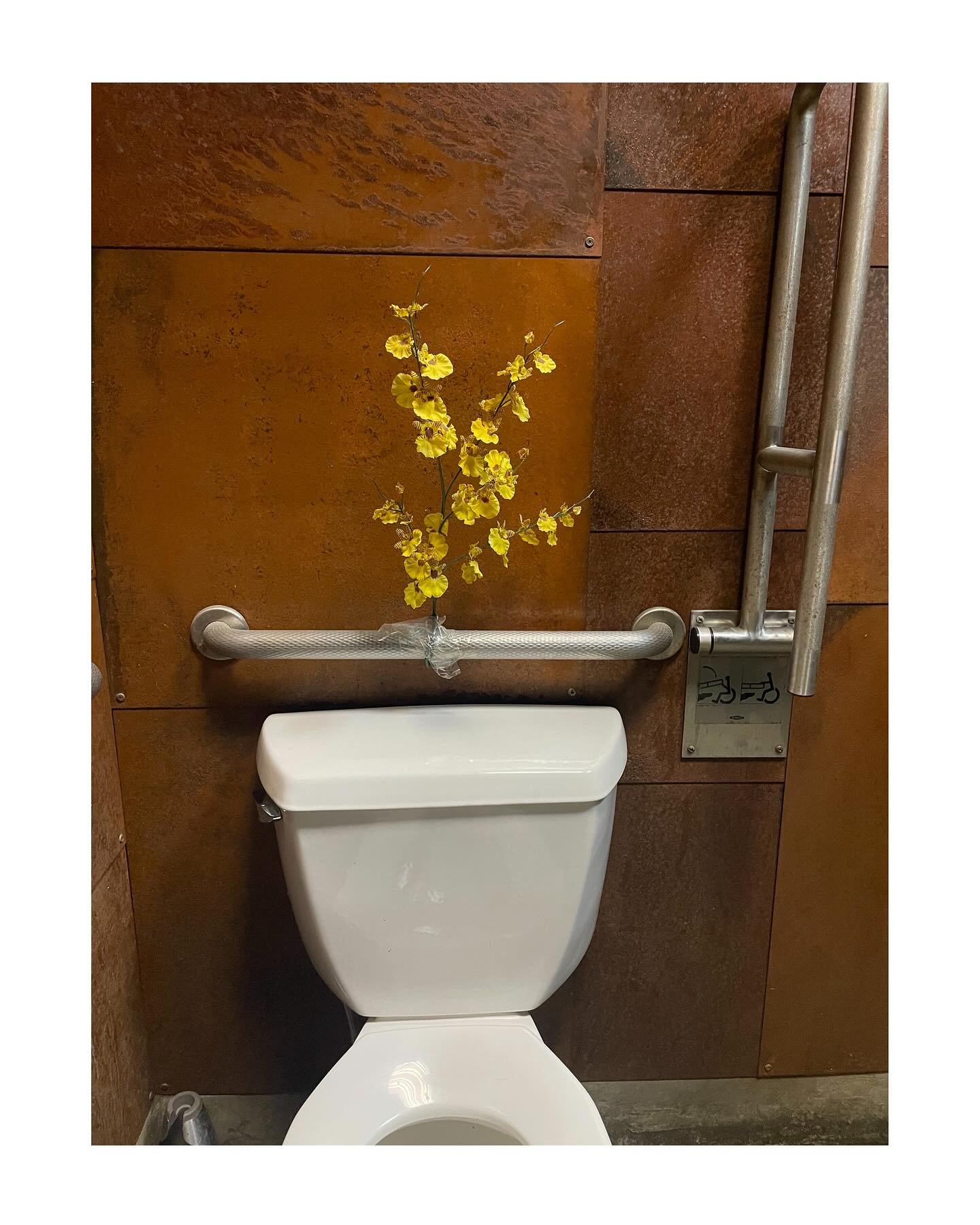 Maybe all you can do is packing tape some fake blossoms onto the bathroom safety bar given the current state of things. In true sad plants fashion, this only increased my feelings of claustrophobia. :(🪴