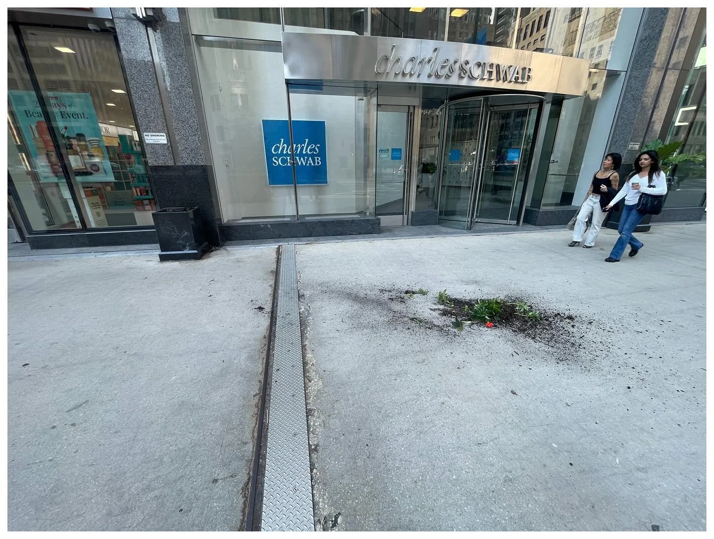 Devastating in Chicago :(🪴