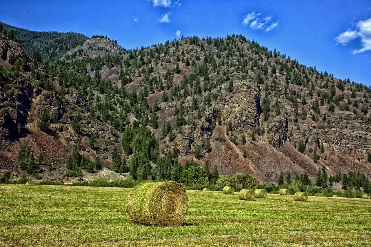 How a Regional Marketing Strategy Sold a Rural Sidney Home in 60 Days After a Failed Listing