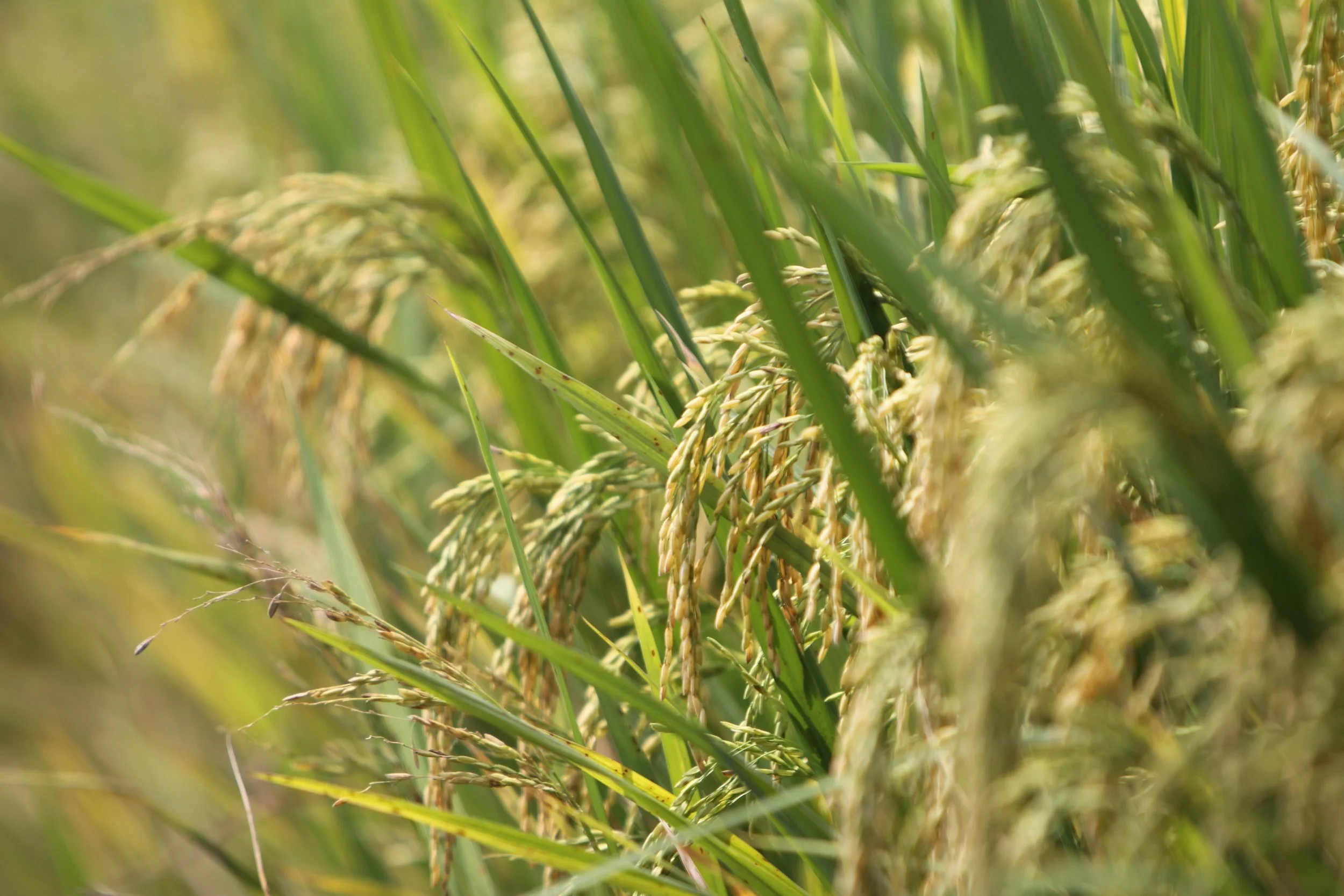 How to Market Your Sidney, Montana Home to Out-of-Town Buyers (What Actually Works)