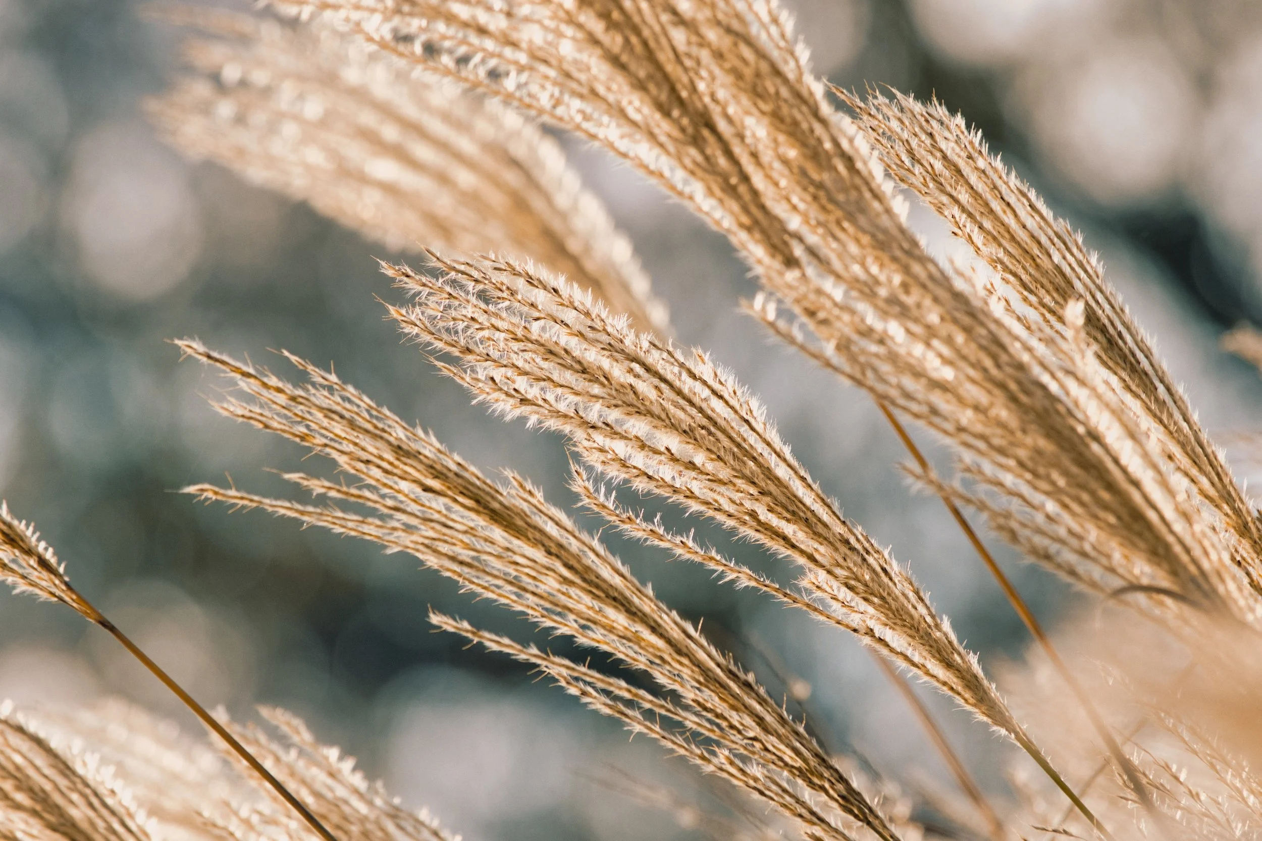 Selling a Home “As-Is” in Sidney, Montana: Strategy vs. Shortcut