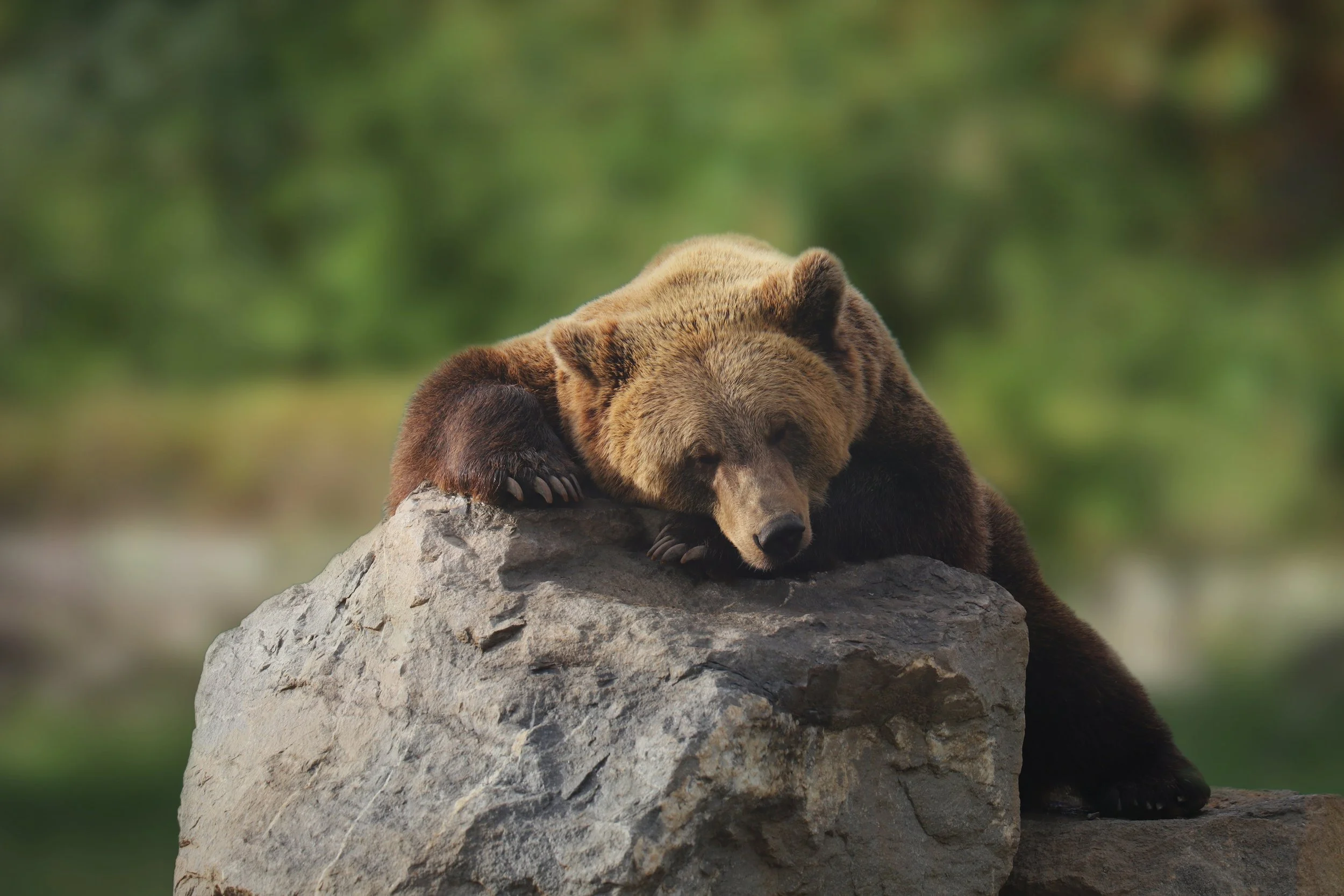 This Is Why Overreacting Early in the Market Costs Sellers Money in Sidney, Montana