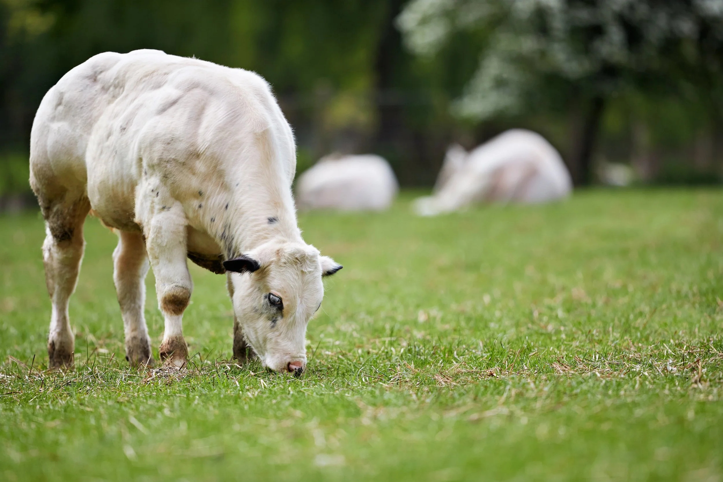 How to Know If Your Sidney Home Will Sell — Before You Even List It