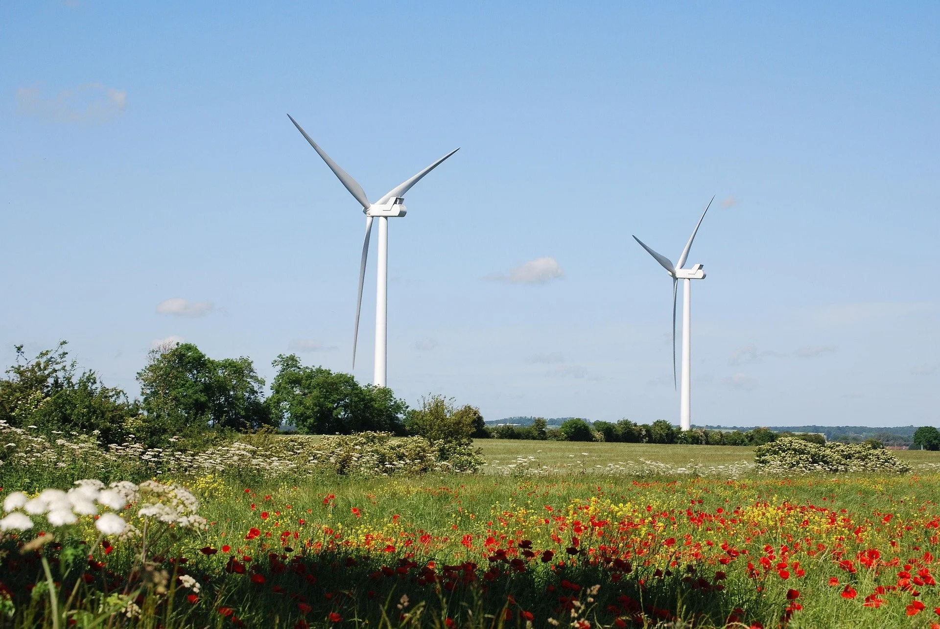 The Real Reason Homes Don’t Sell in Sidney — And It’s Not the Market
