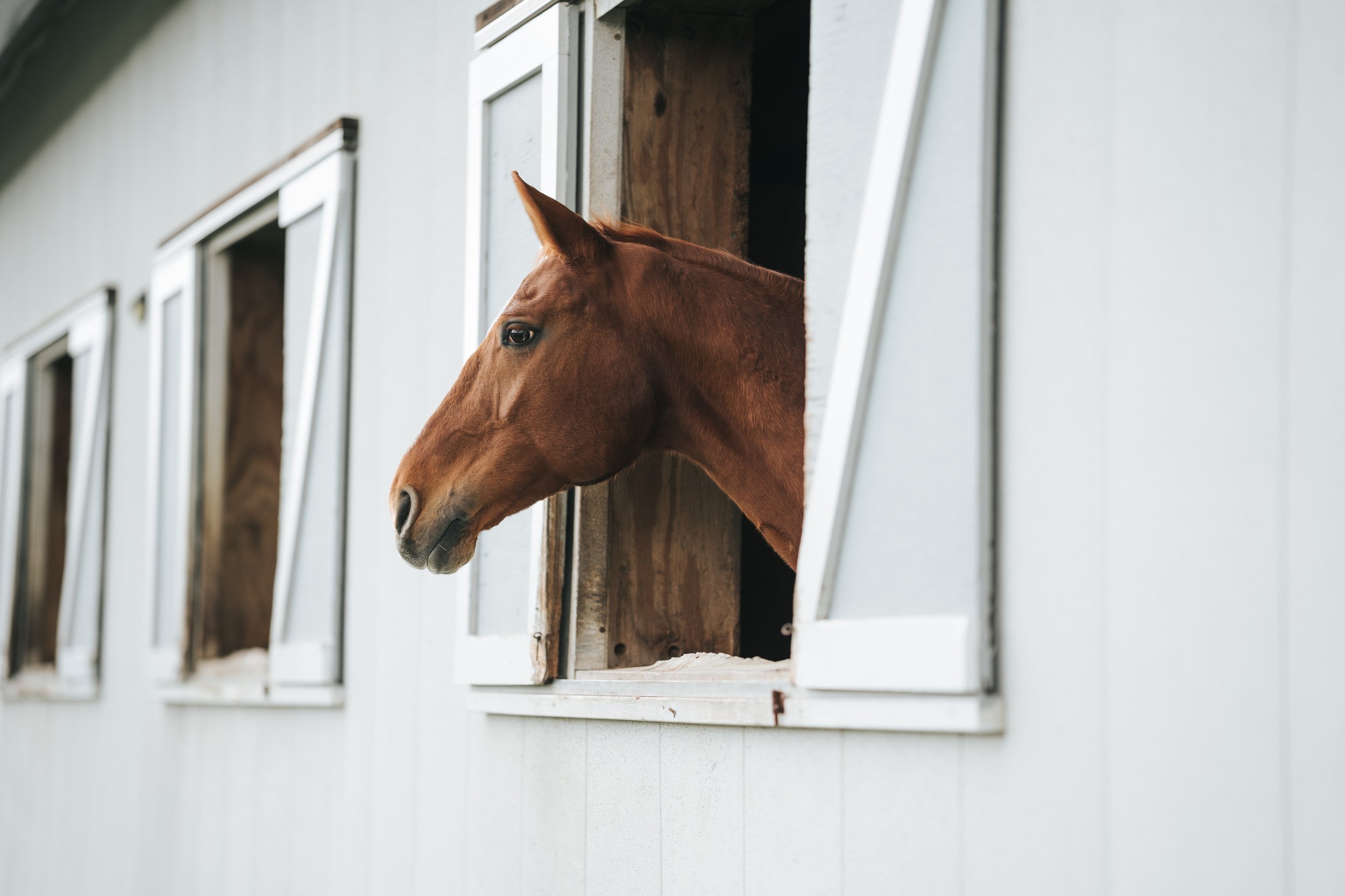 When a Home Doesn’t Sell in Sidney MT, the Problem Usually Started Long Before the Listing Expired