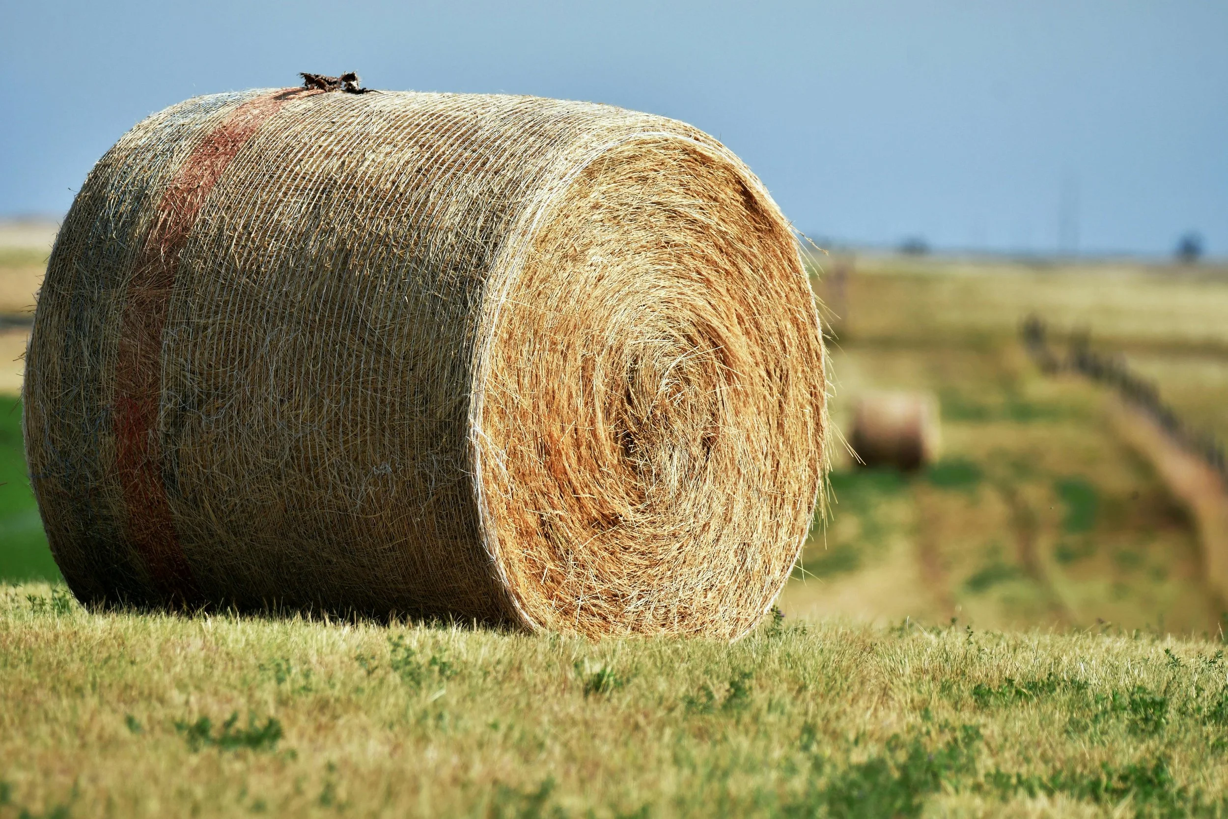 Inspection Negotiations in Sidney MT: What Smart Sellers Understand That Others Don’t