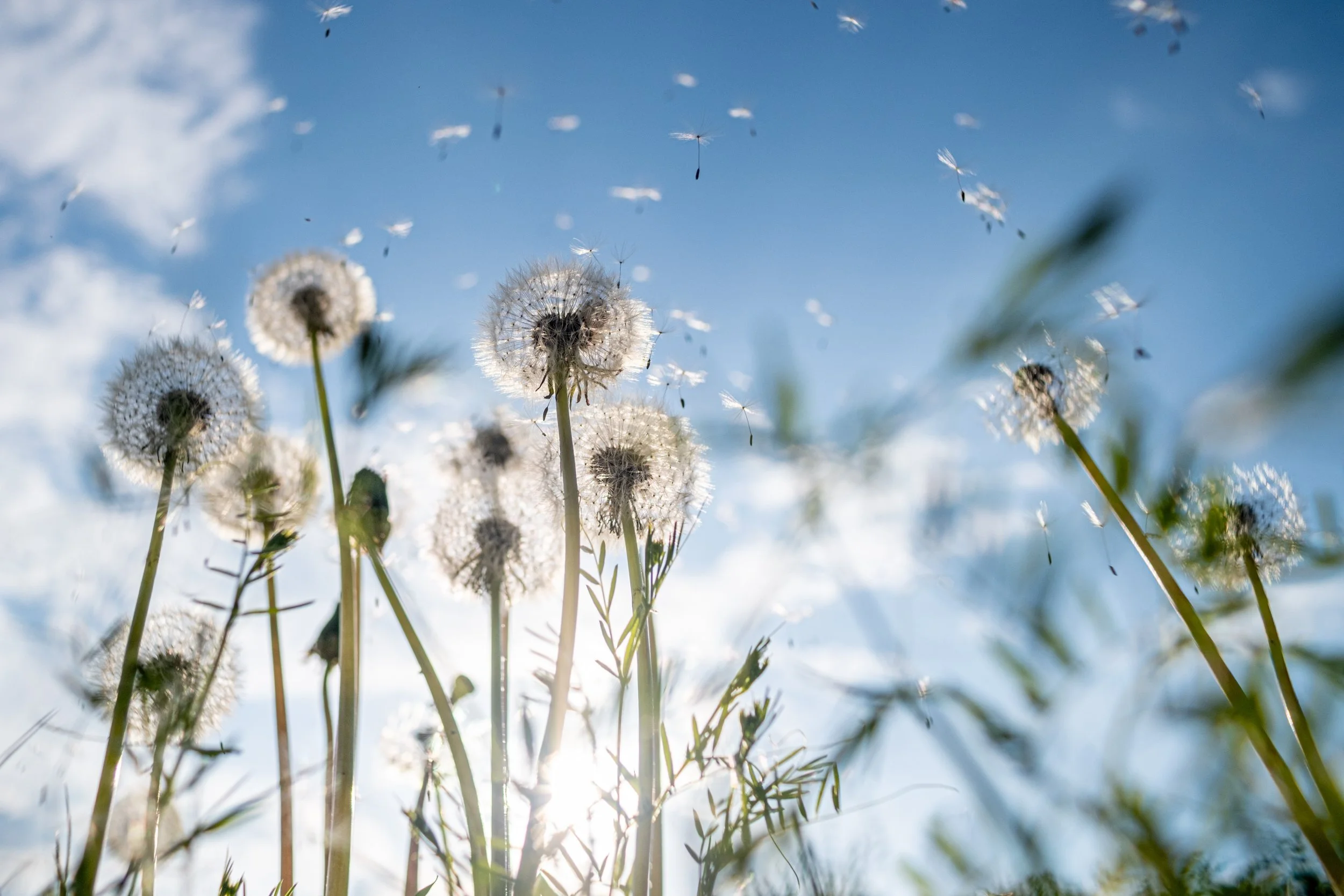 Why the Perfect Home Is Rarely Perfect: A Sidney, Montana Home Buying Success Story!