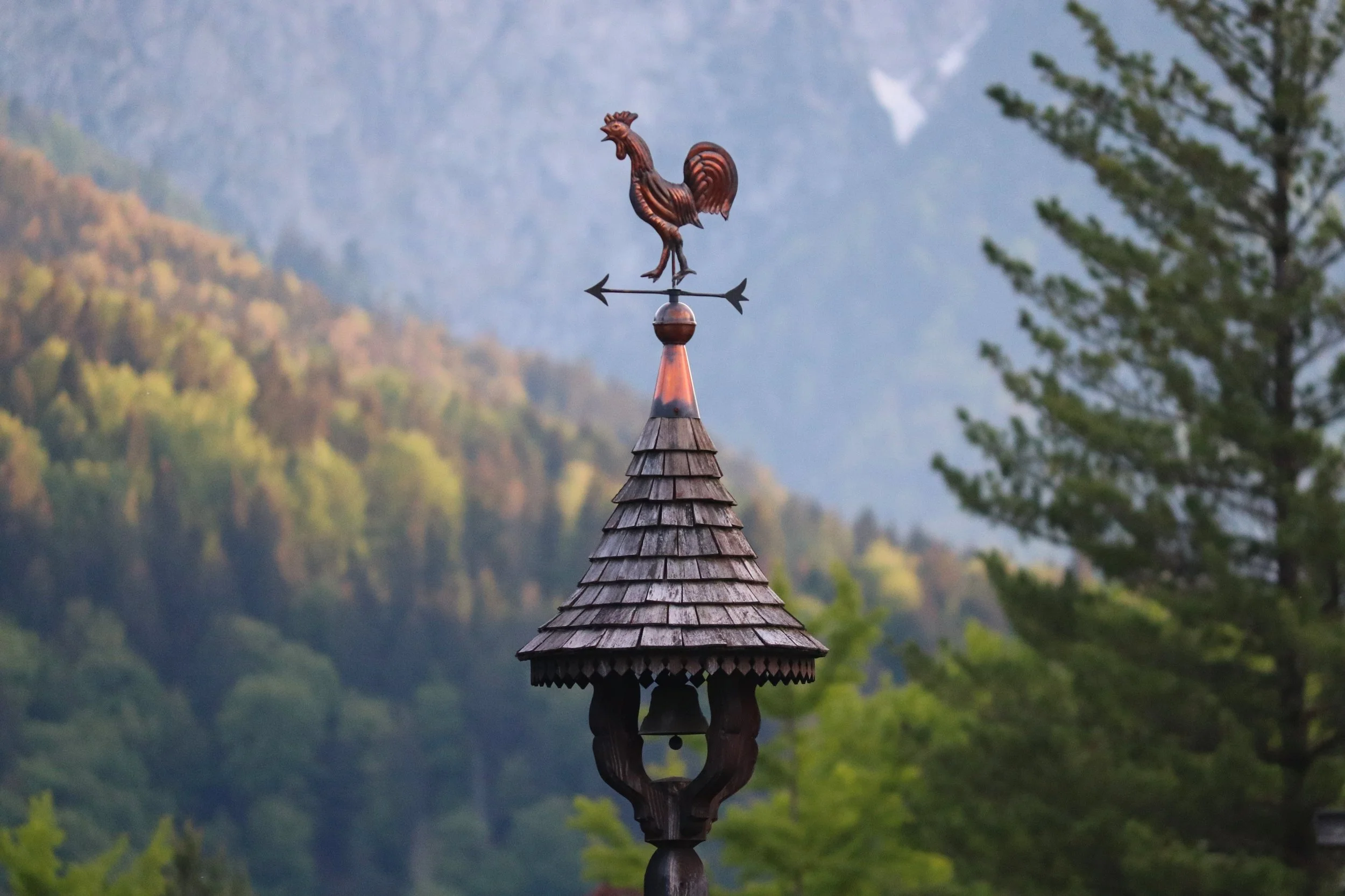 Finding the Right Home — Not the Perfect Home: A Sidney Homebuying Story!
