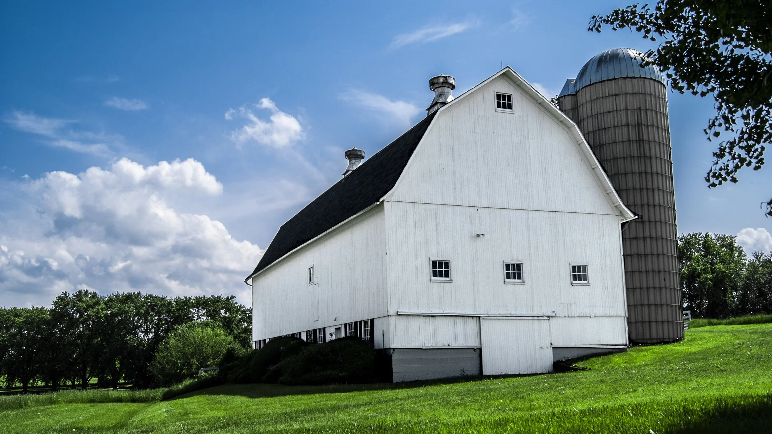 The Marketing System I Built to Reach Buyers Far Beyond Sidney, Montana
