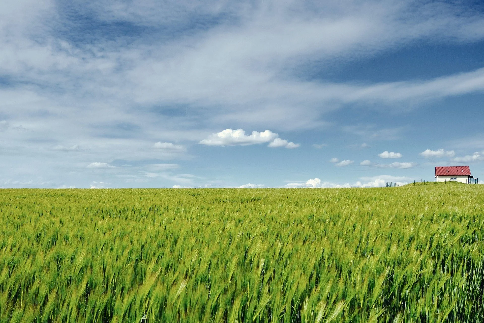 How Do You Market Properties With Deferred Maintenance or Needed Repairs in Sidney, MT?