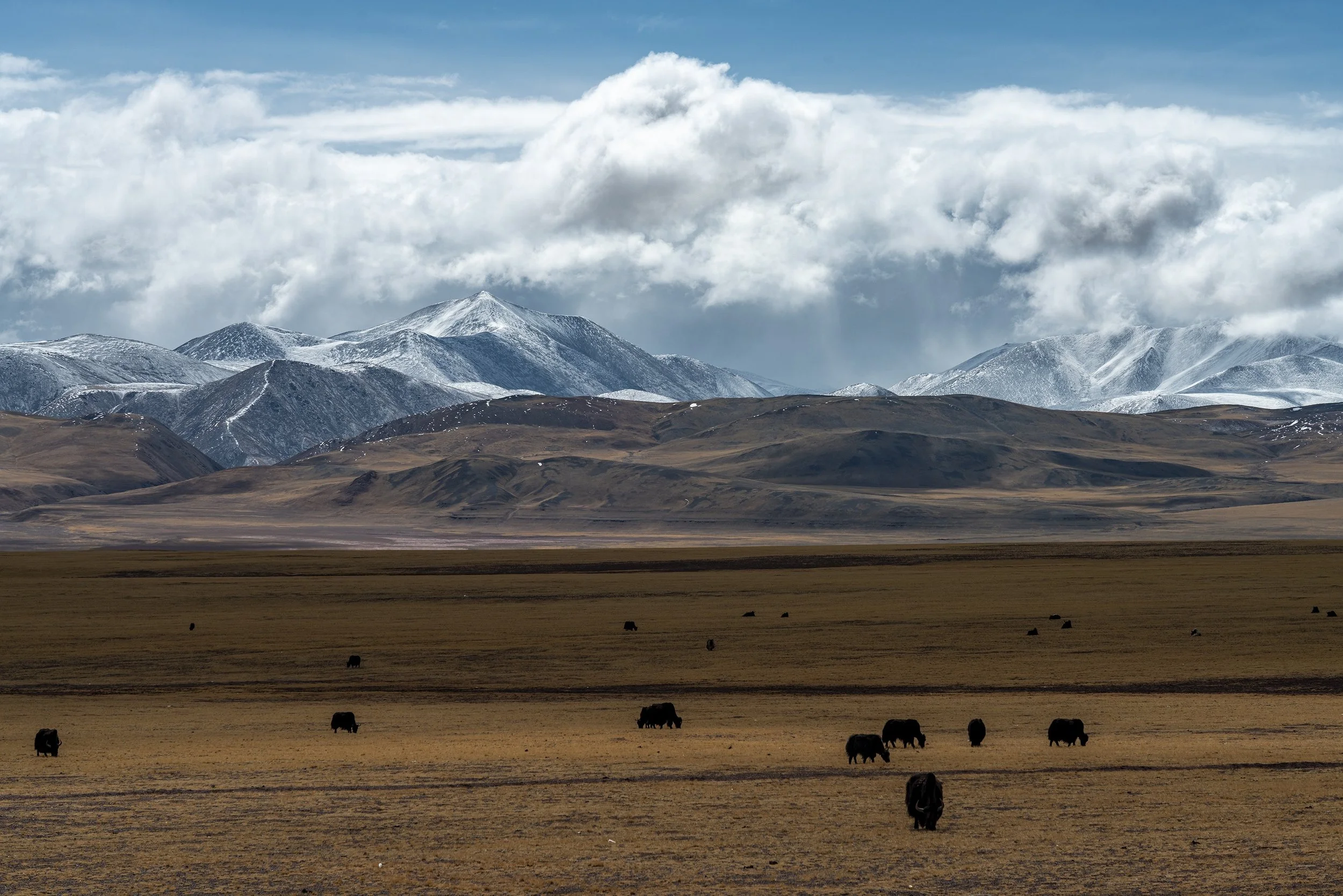 How Do I Know If I’m Overpaying for a Home in Sidney, Montana?