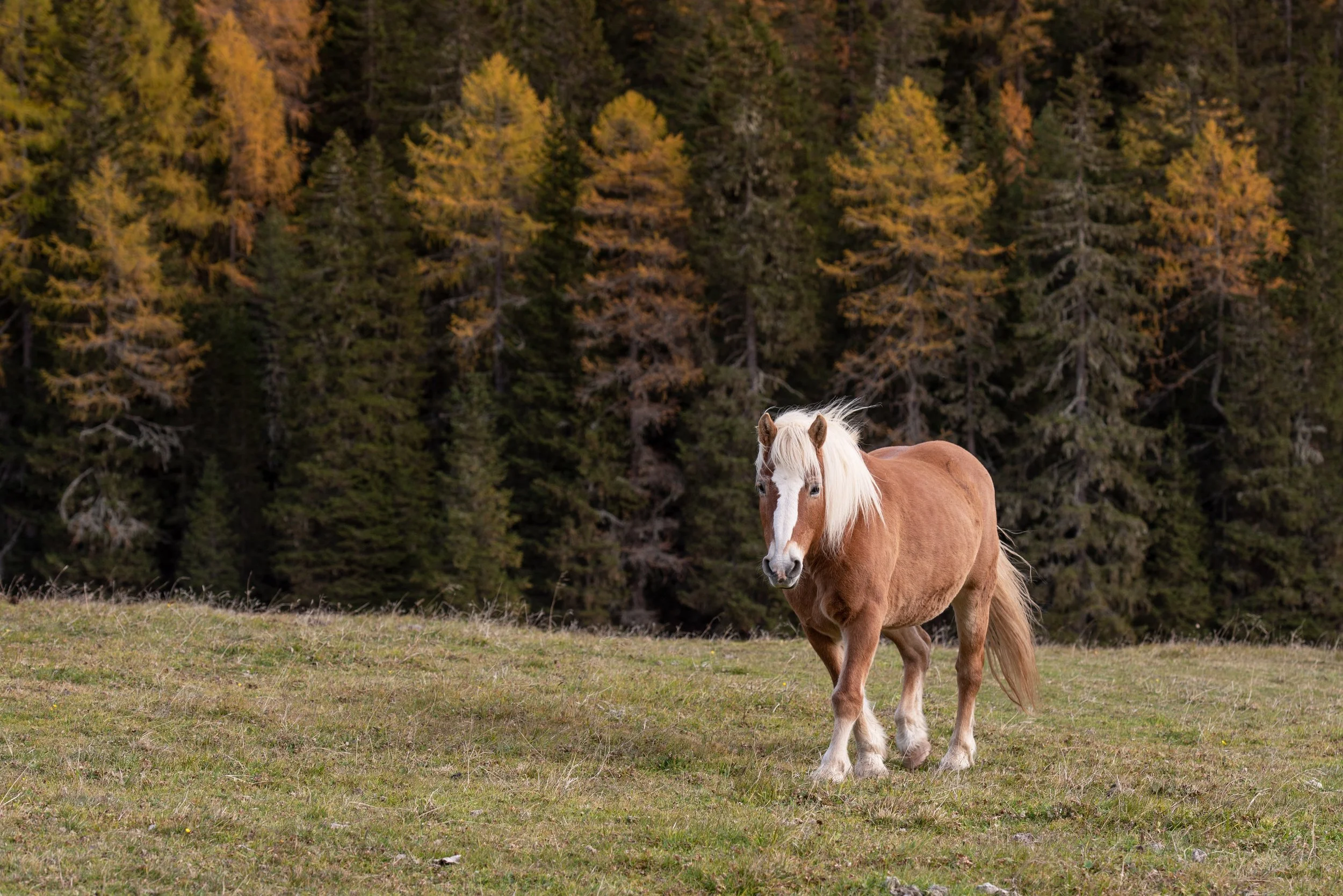 The 6 Questions I Want Every Eastern Montana Buyer to Answer Before Closing