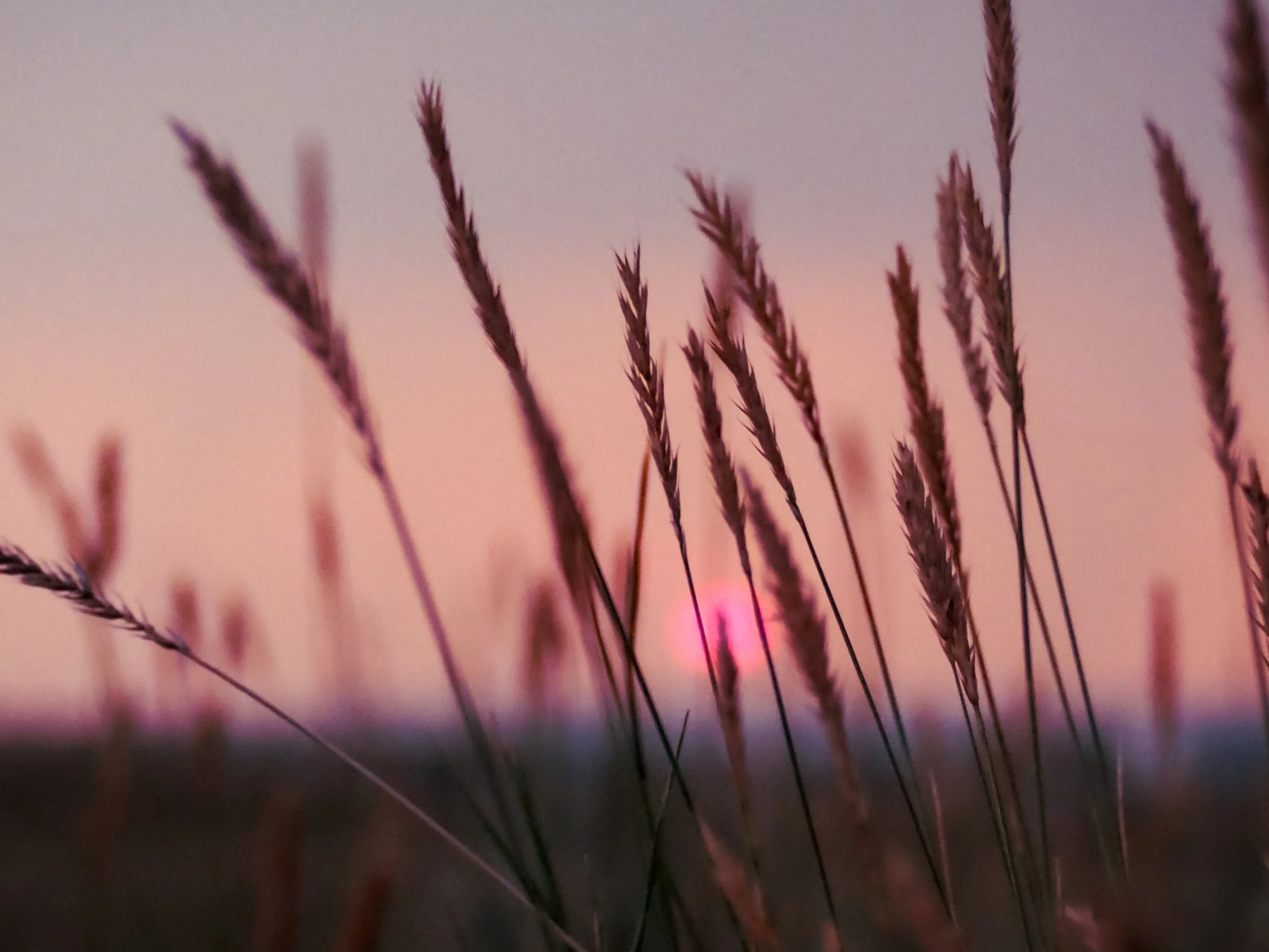 Is Sidney, Montana a Buyer's Market or Seller's Market? Here's Why That Question Is Too Simple.