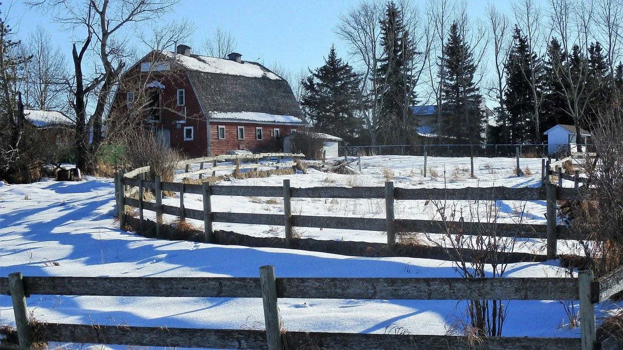 abandoned-farm-4731014_1280.jpg