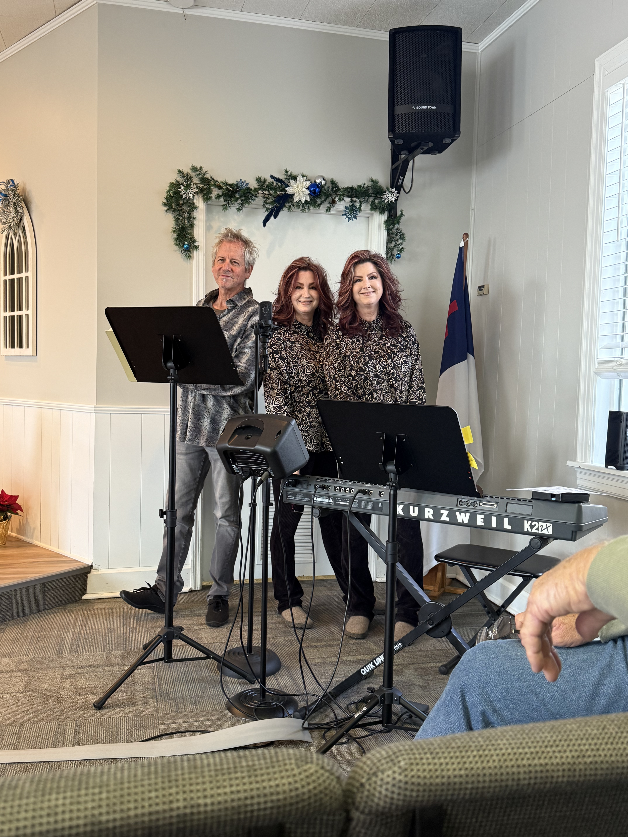 Teresa Lisa Chip.png