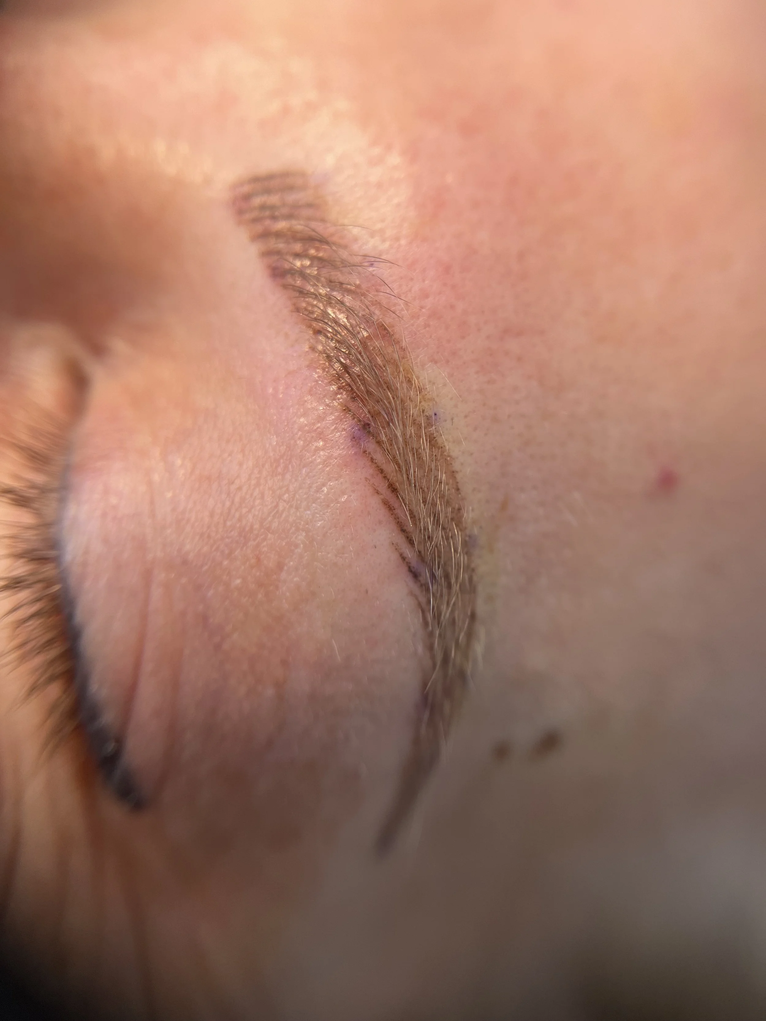 Nano eyebrows on a client who has light eyebrows.