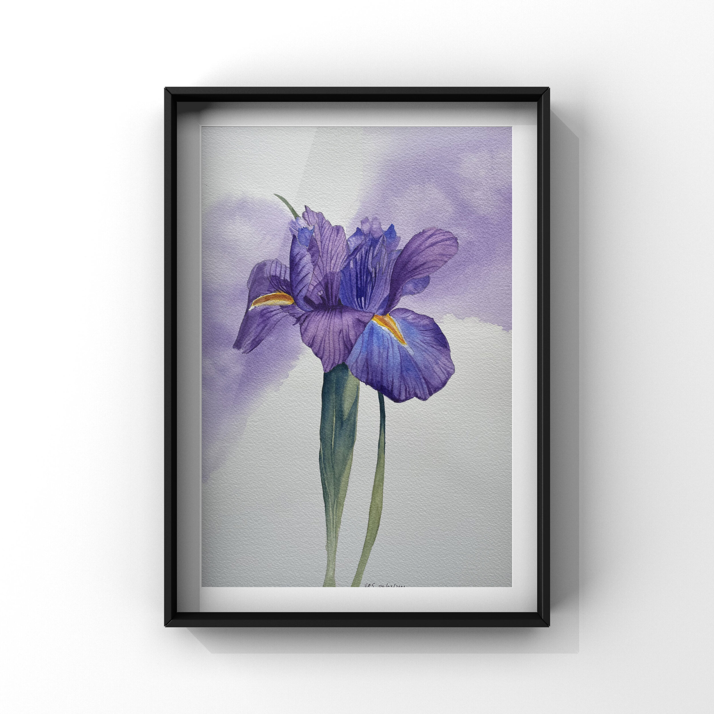 Purple Iris — Art For Art's Sake