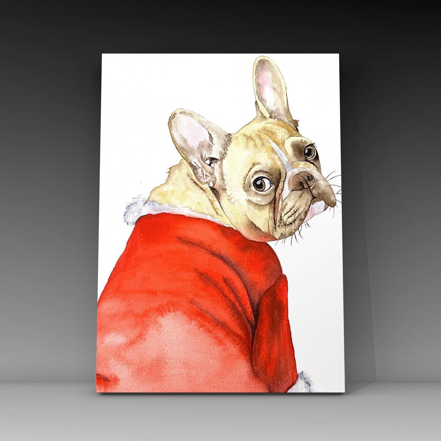 French bulldog all decked out for Christmas! #frenchbulldog #watercolorpainting #watercolorart #louisedemasi #unsplash #art-for-arts-sake