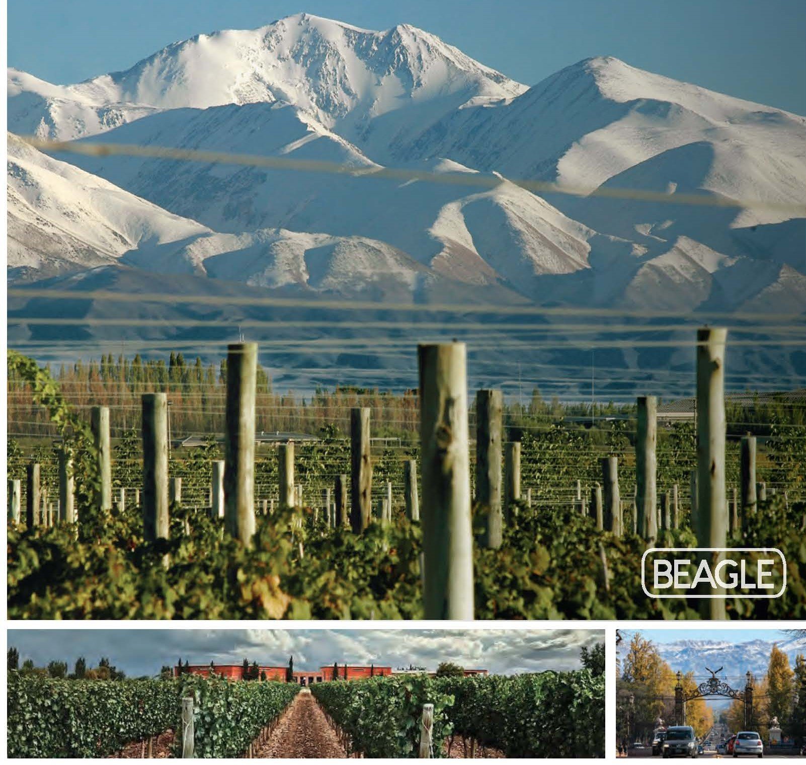 Pages from Mendoza Wine Tour Photogallery (1).jpg