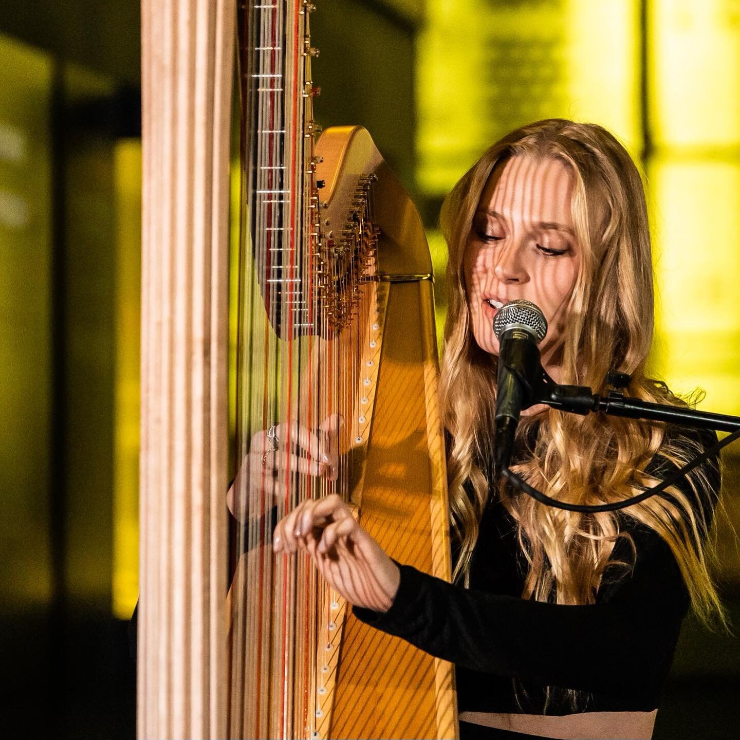 At each stop of our Mass Meditation &amp; Breathwork tour we experienced a special weaving of live string 🎻 performances, led by the other worldly @lexie_harp_ 👼 

Lexie was our resident musician for the tour, &amp; worked with local musicians in e