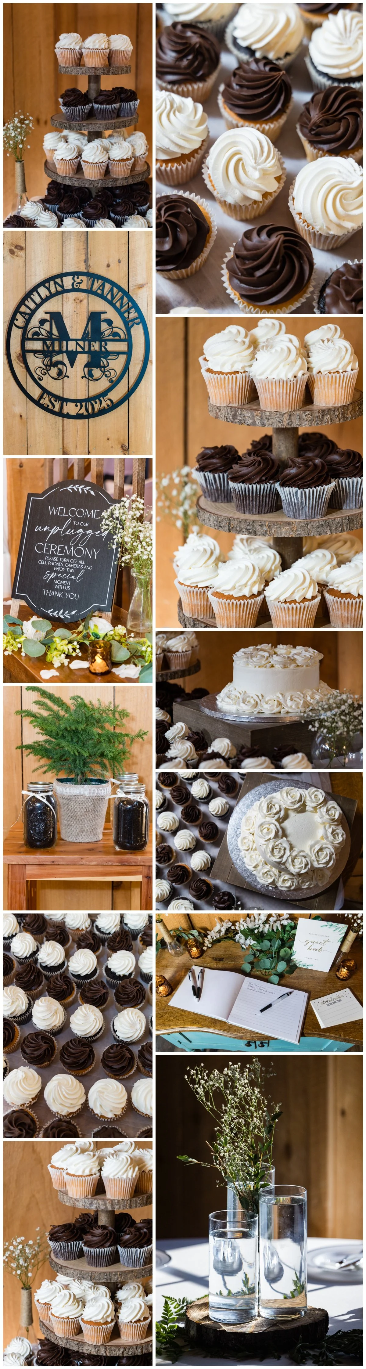 Hendersonville NC Wedding Photographer -24.jpg
