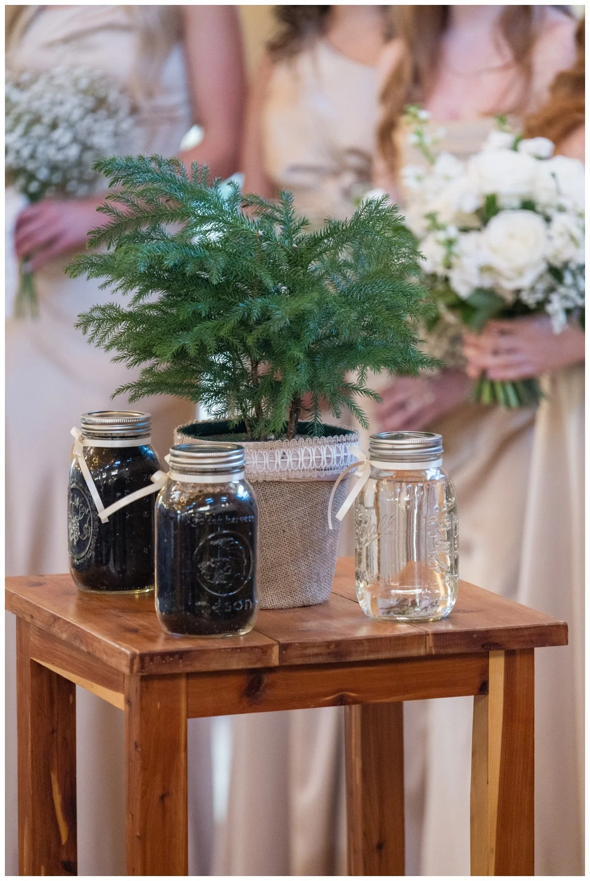 Hendersonville NC Wedding Photographer -36.jpg