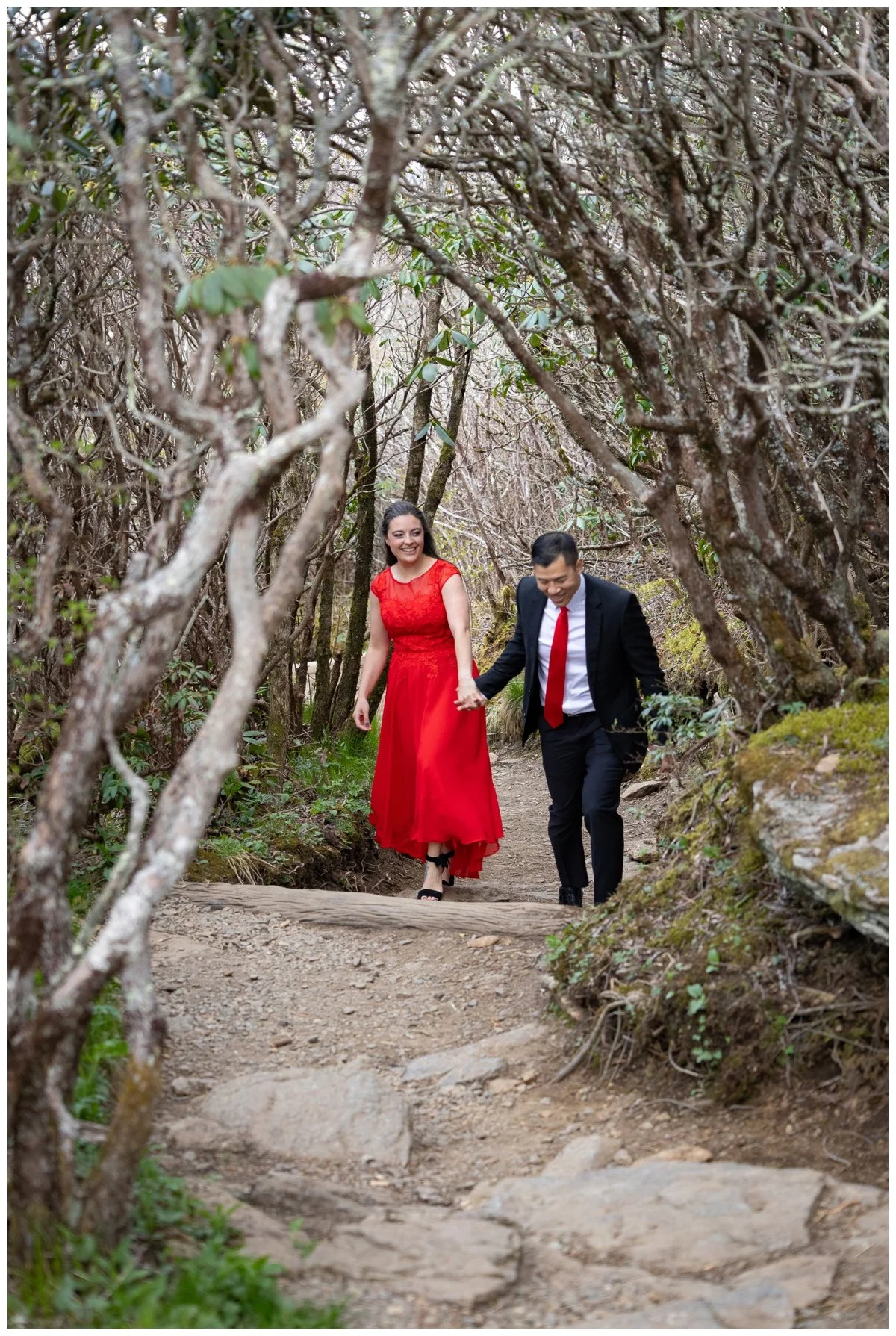 Blue Ridge Parkway Engagement Photography11.jpg