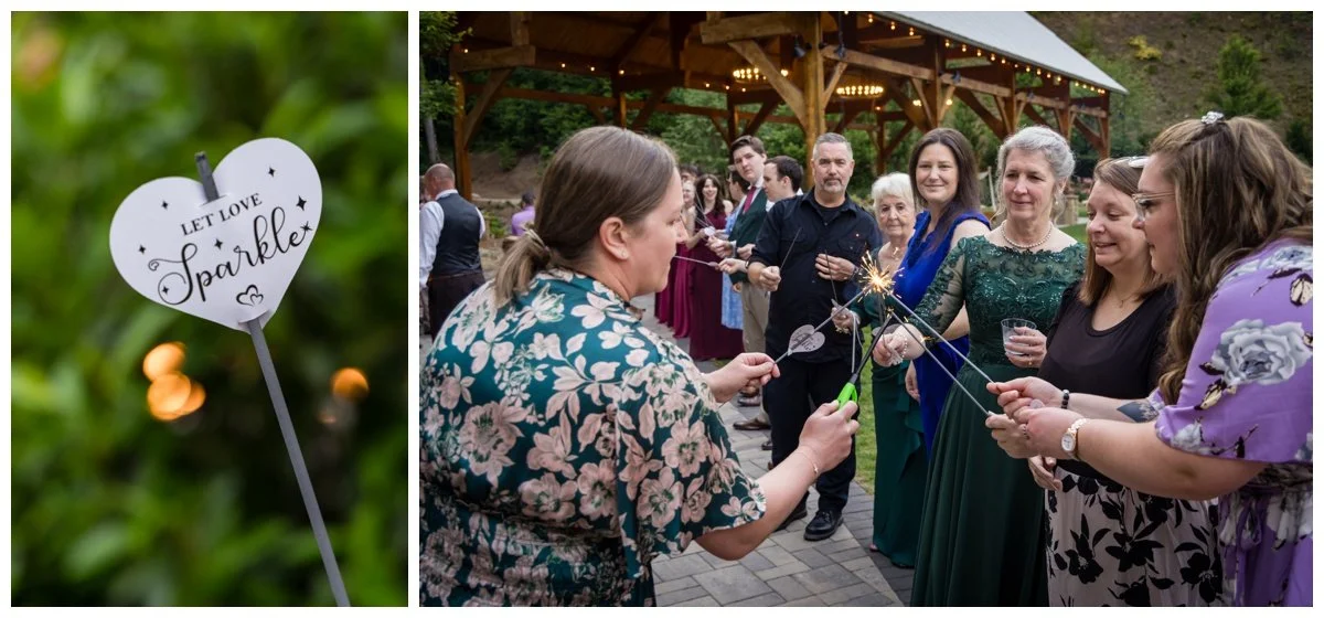 Asheville Wedding Photographers - 71.jpg