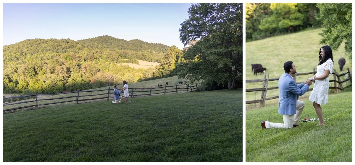 Asheville Surprise Engagement Photographers 1.jpg