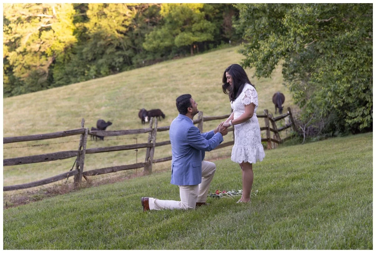 Asheville Surprise Engagement Photographers 2.jpg