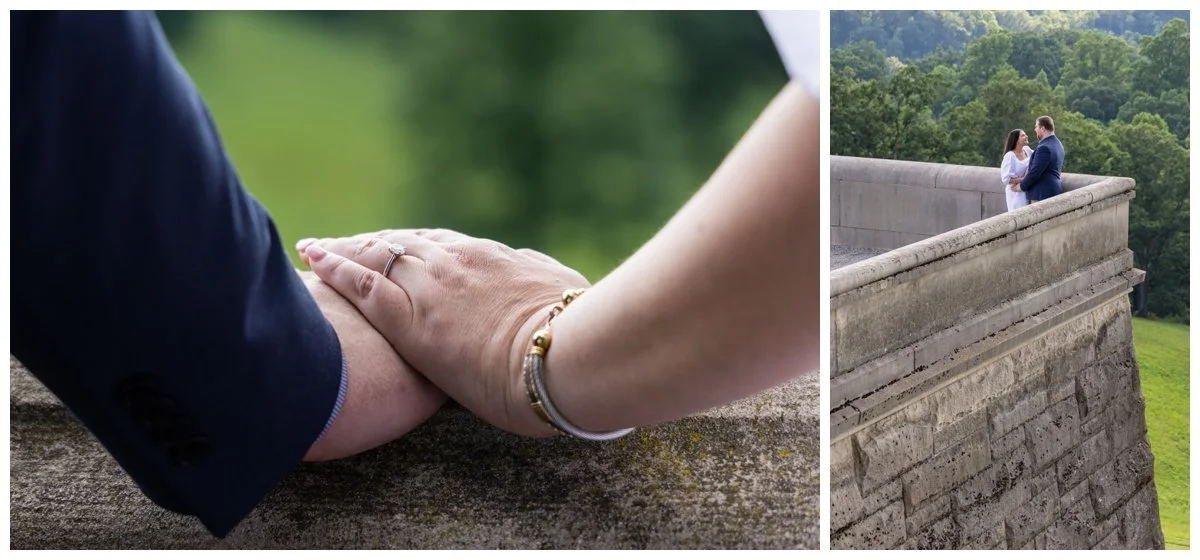 Biltmore Engagement Photographers-6.jpg