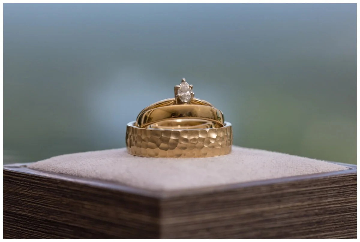 Weaverville Farm Wedding - 5.jpg