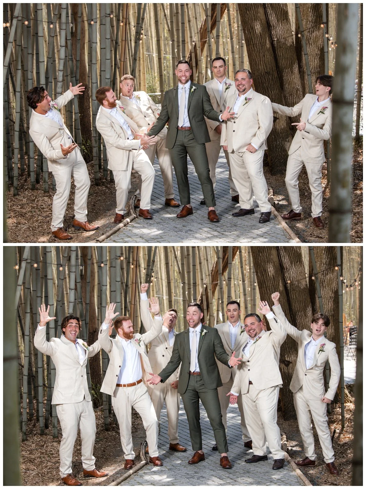 Asheville Photographers - 10.jpg