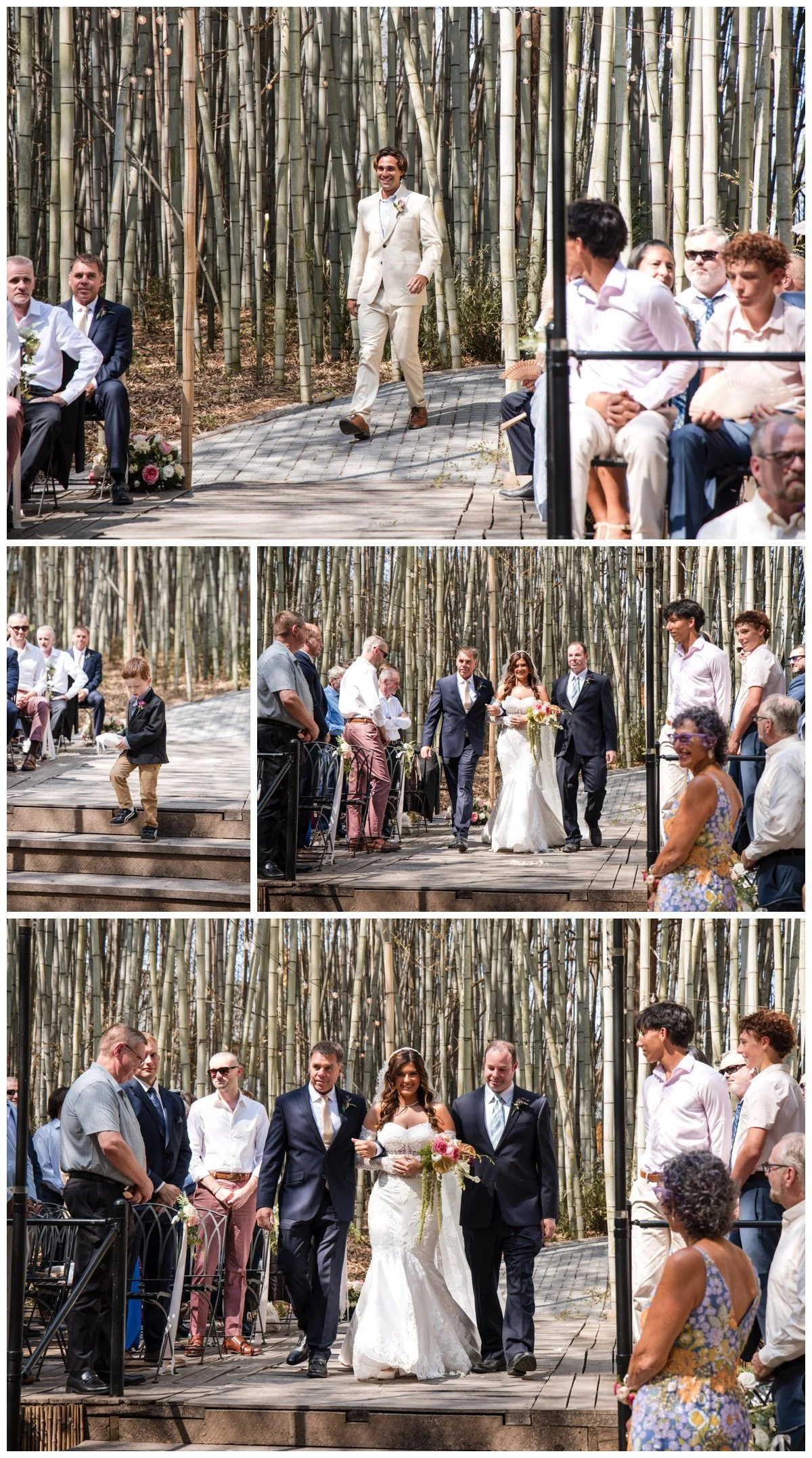 Asheville Photographers - 12.jpg