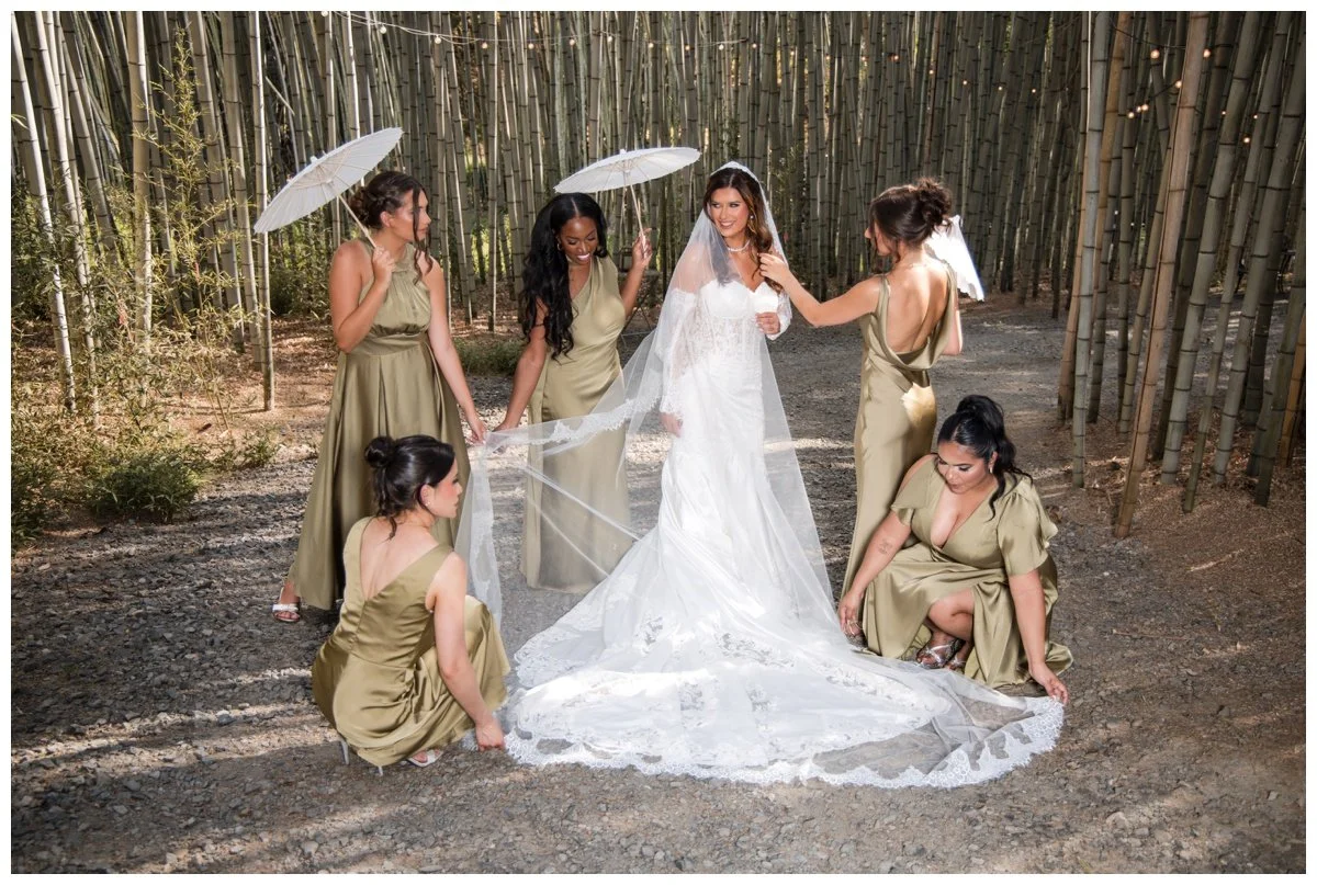 Asheville Photographers - 22.jpg