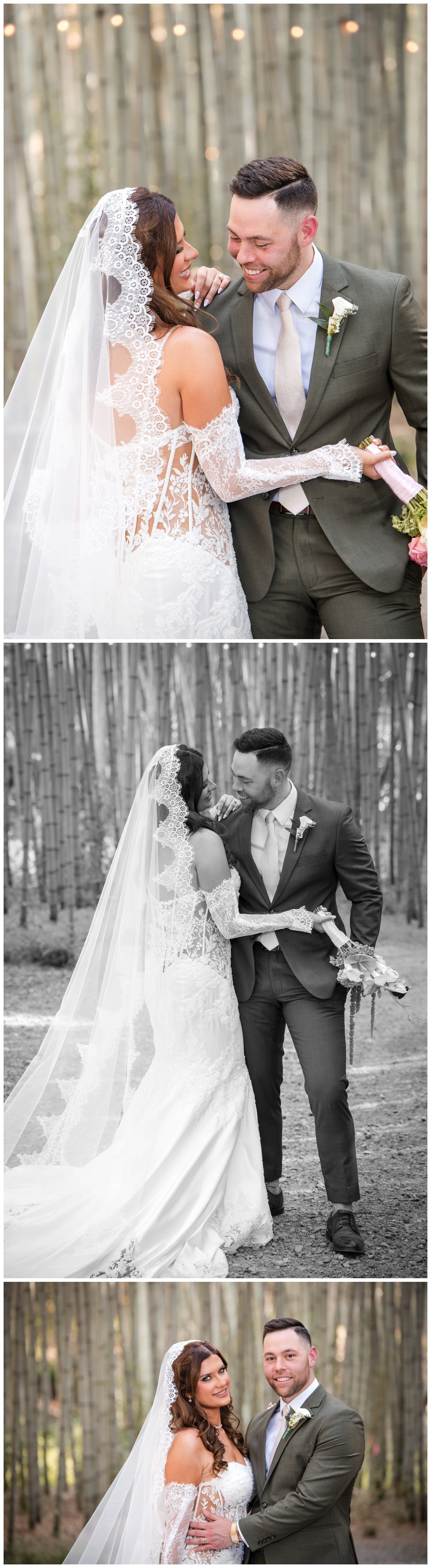 Asheville Photographers - 26.jpg