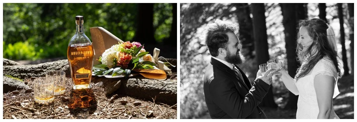 Black Balsam Knob Elopement Photographer - 9.jpg