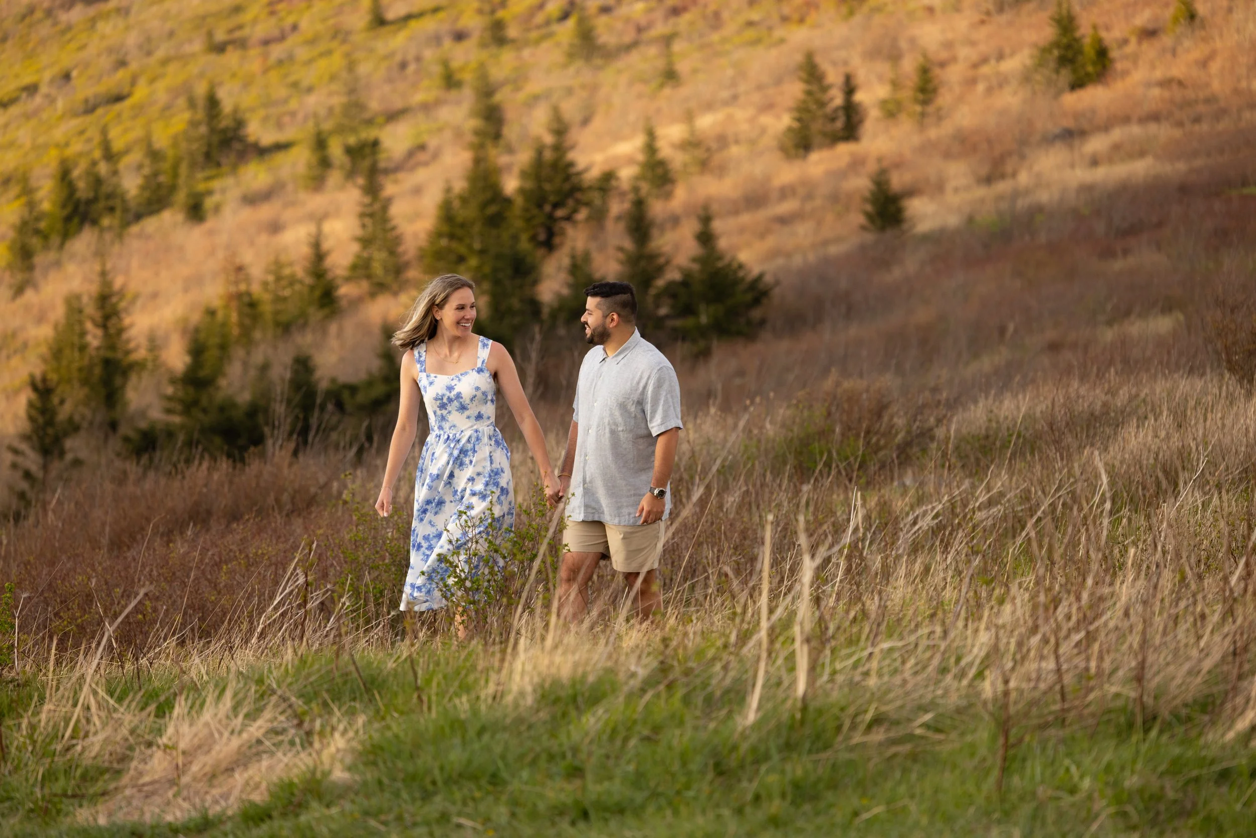 Black Balsam Knob Engagement Photos.jpg