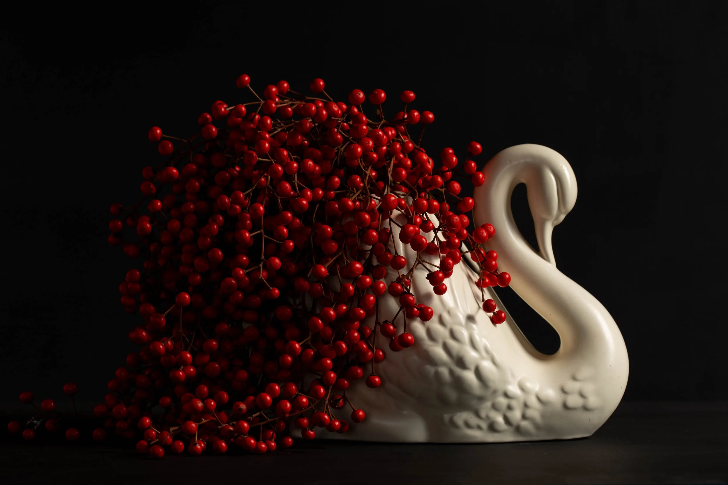 Idesia Berry Swan