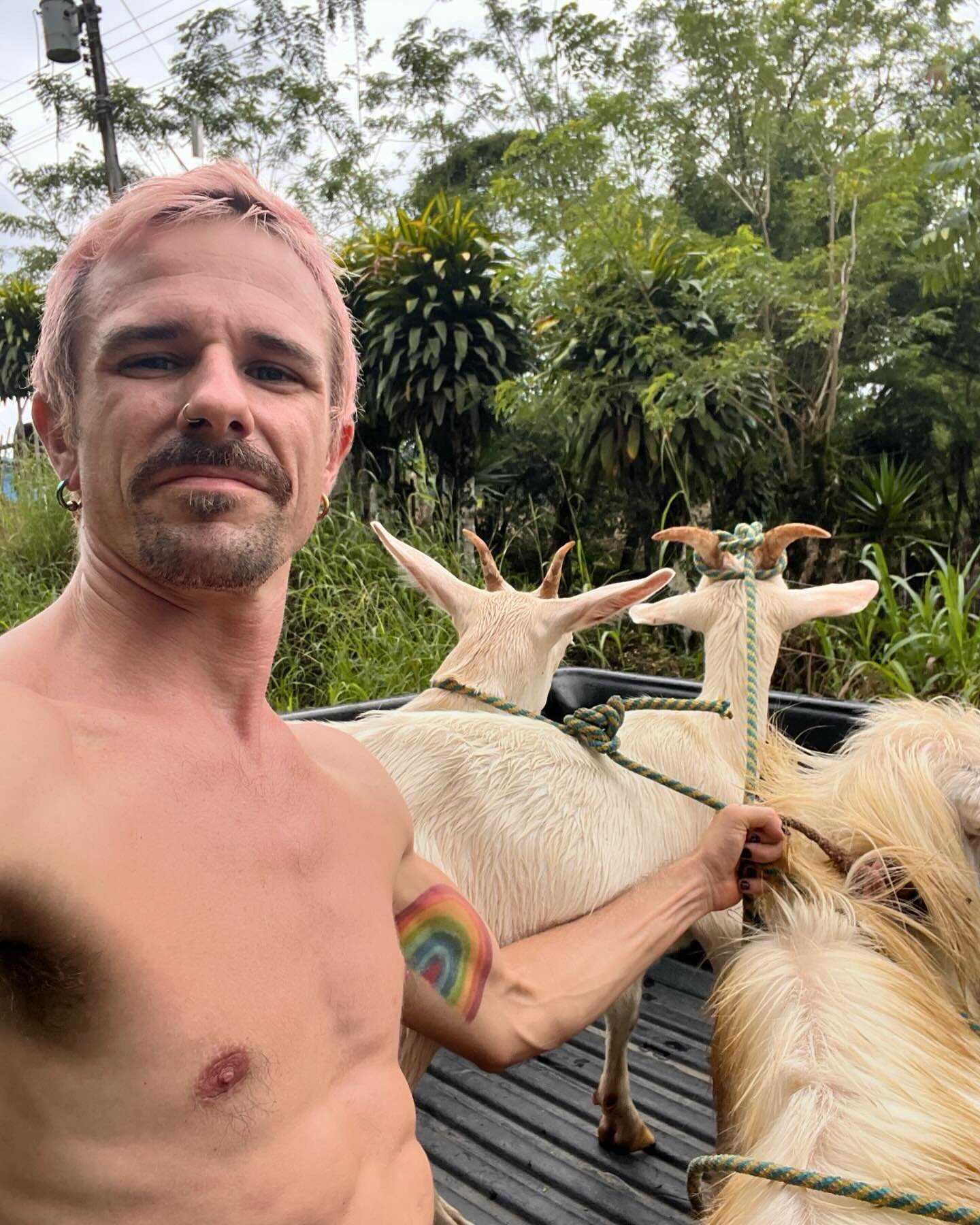 POV you&rsquo;re tryin&rsquo; to chill on a Saturday&hellip;but you have goats. Check out our latest reel to see this weekend&rsquo;s FULL unhinged farm adventure 🤪 #everythingisfine