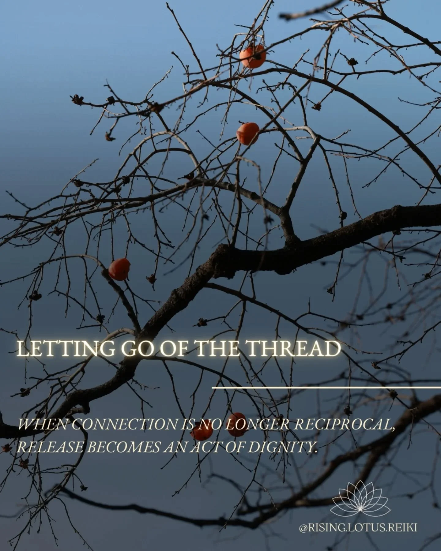 Some bonds are only meant to hold for a season. 
And when it&rsquo;s time to let go &mdash;
the soul knows.

I&rsquo;m in the final phase of letting go&mdash;� not just of one relationship,� but of every thread I&rsquo;ve been holding alone.

As the 
