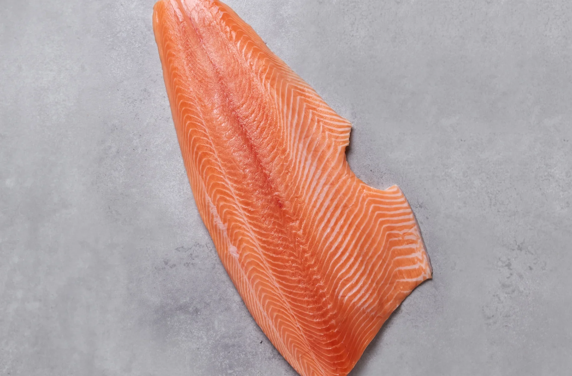 image_of-fresh-salmon-fillets-southern-seafood-products.webp
