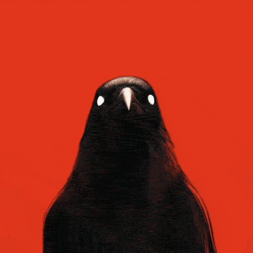crow.gif