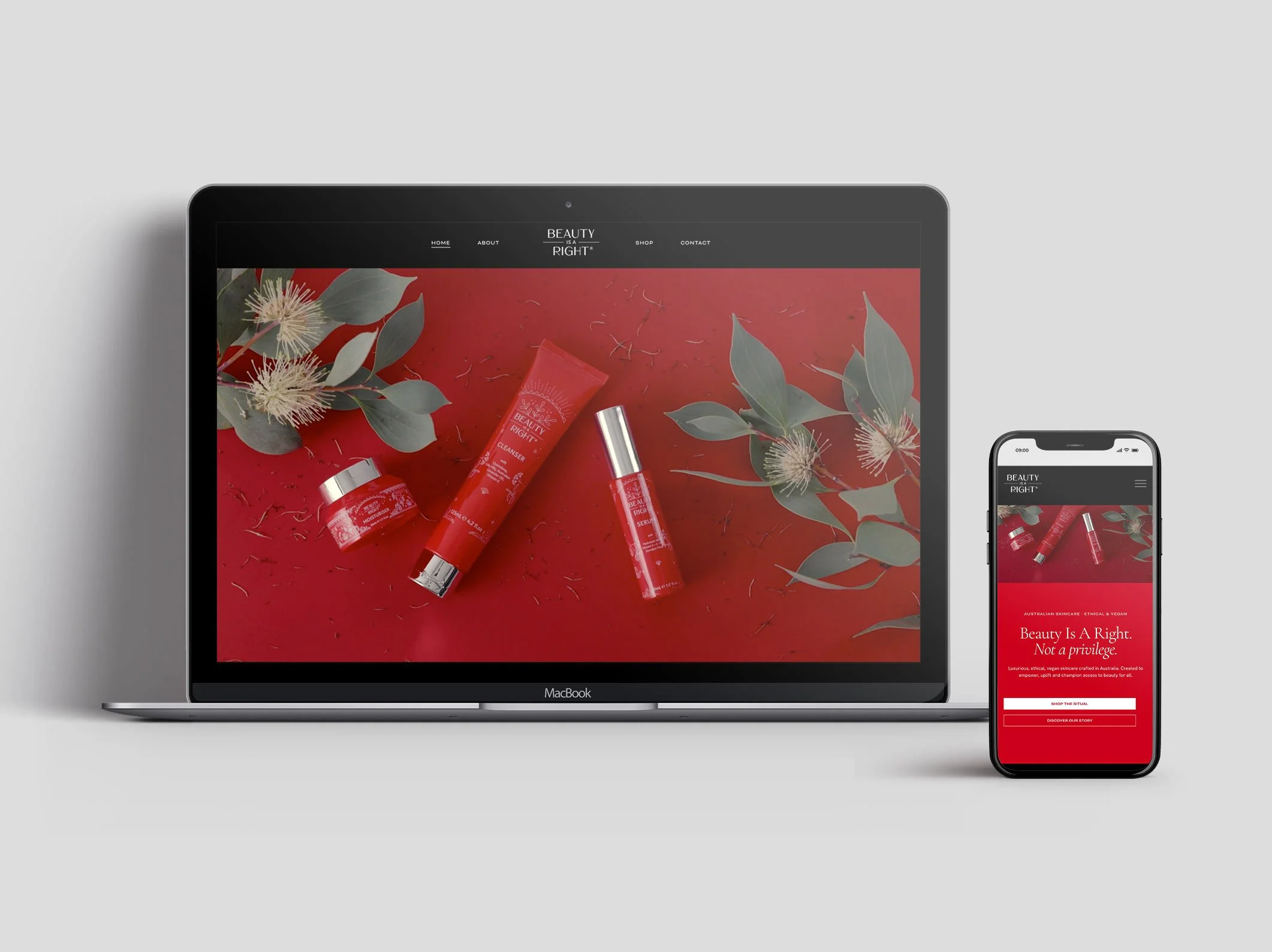 portfolio-biar.jpg