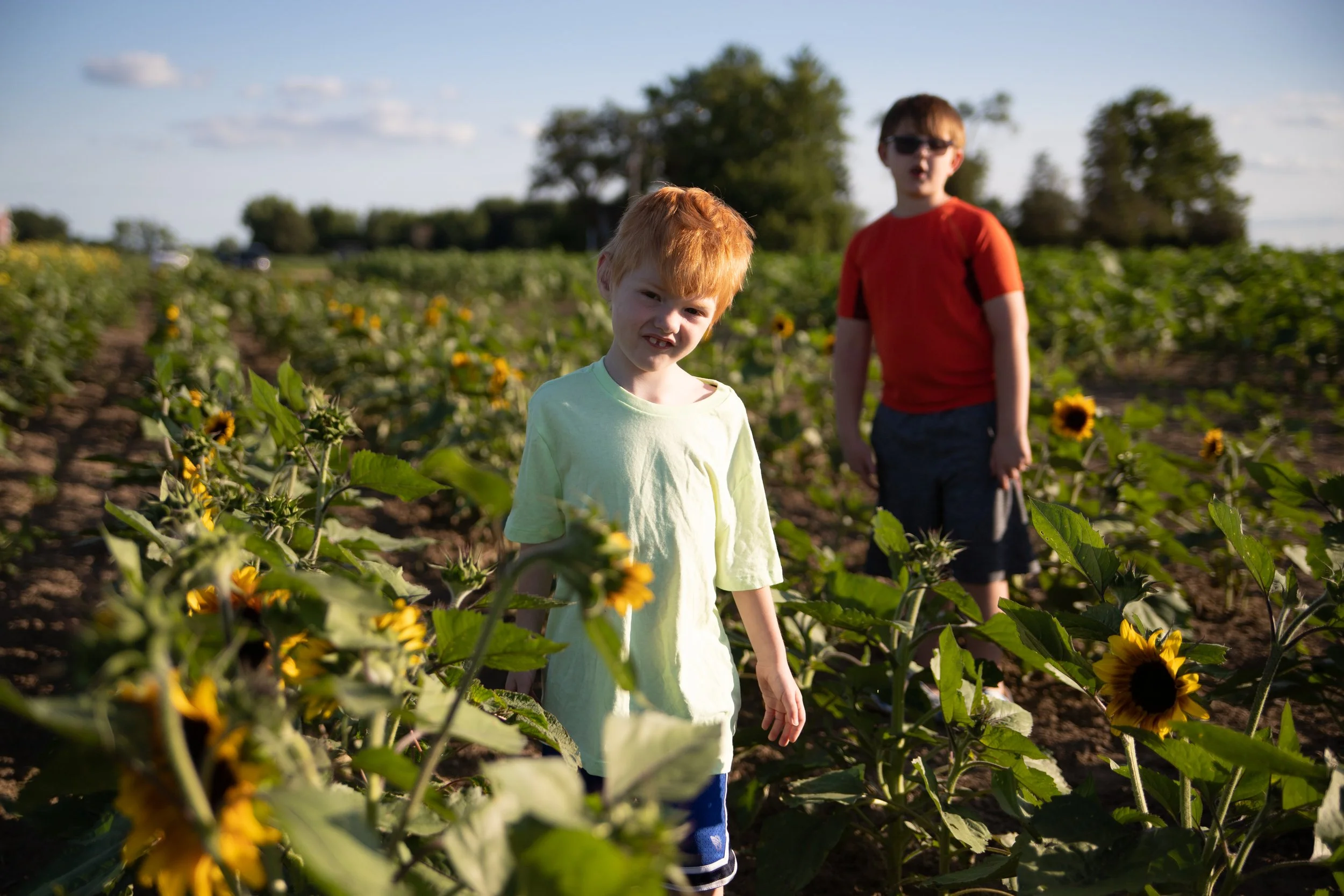 Sunflower Trail 2022-13 copy.jpg