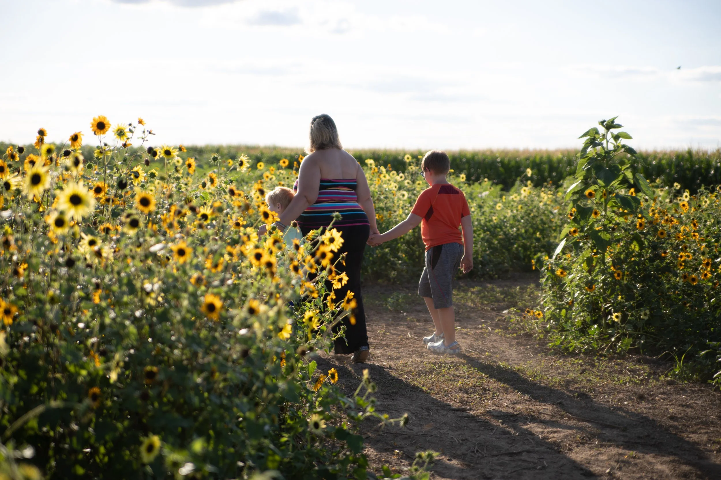 Sunflower Trail 2022-28 copy.jpg