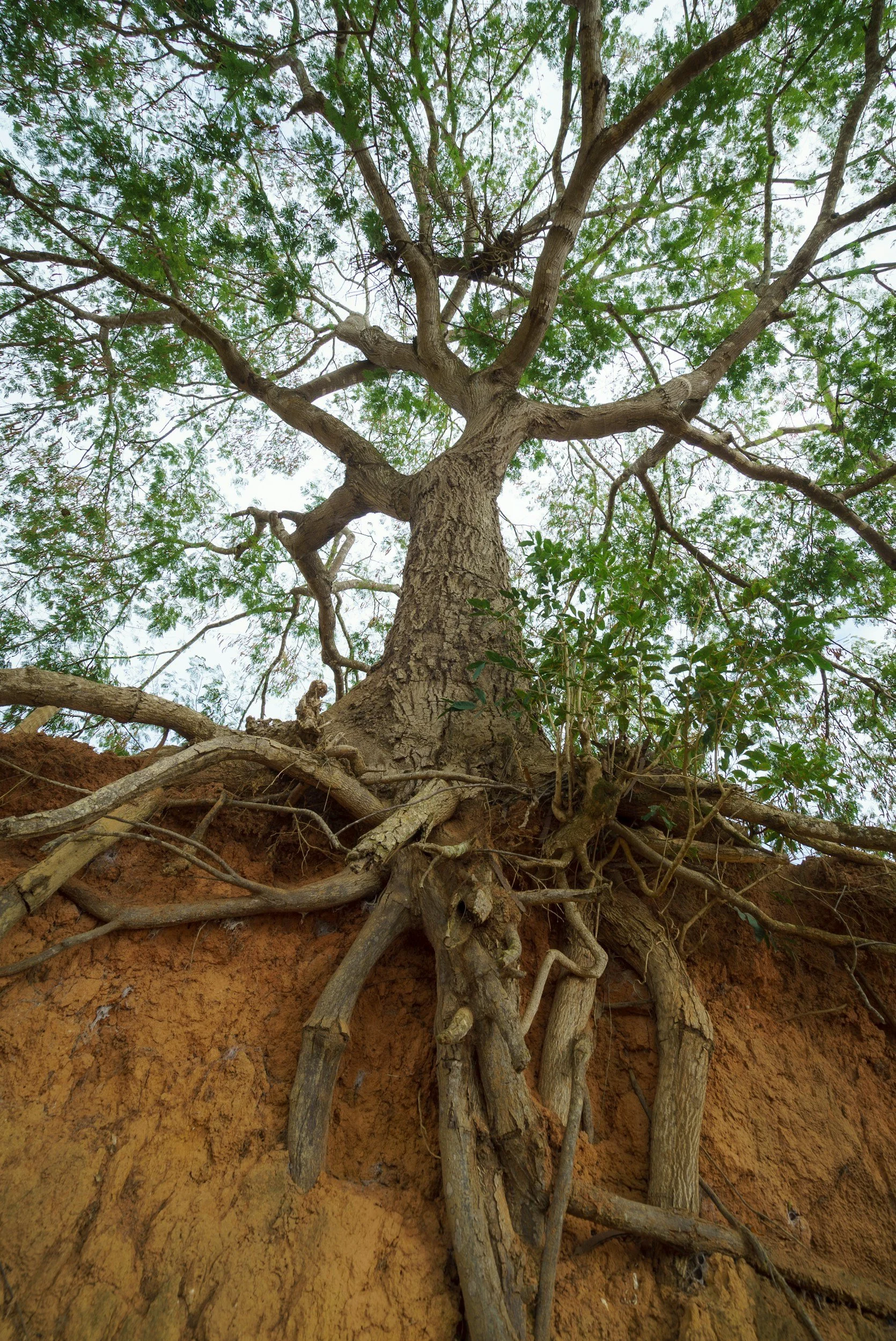 a grounded approach to ESG