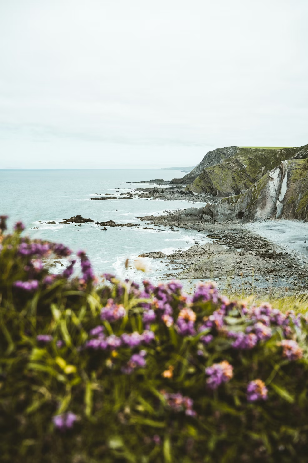 nature sets the operating conditions