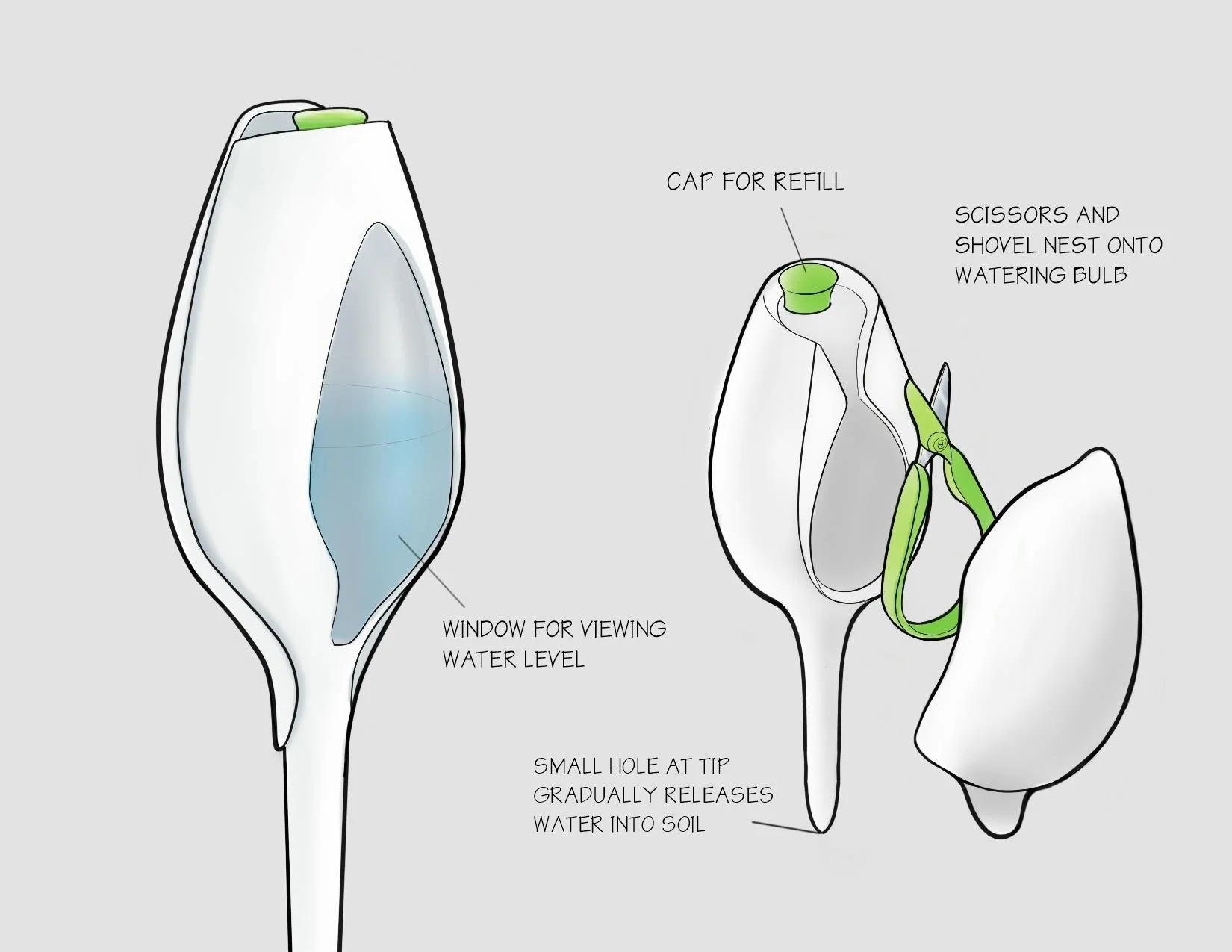 bloom plus sketch.jpg